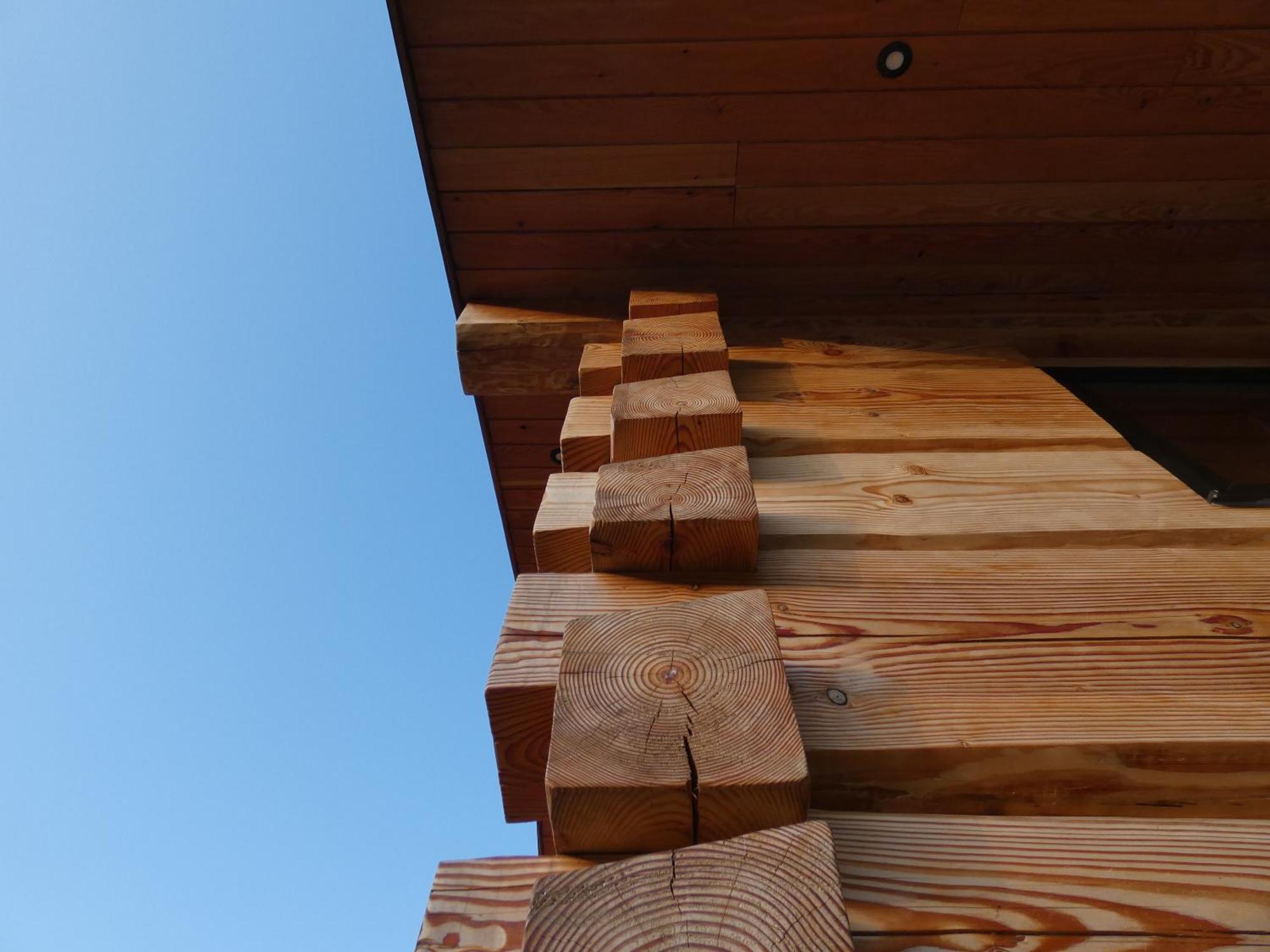 Abergwynant Farm Glamping & Apartments Dolgellau Exterior foto